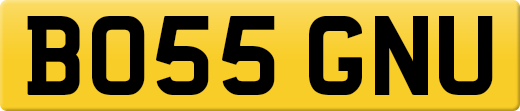 BO55GNU